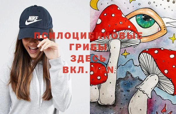 МДПВ Арсеньев